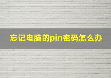 忘记电脑的pin密码怎么办