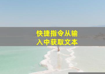 快捷指令从输入中获取文本