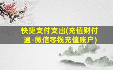 快捷支付支出(充值财付通-微信零钱充值账户)