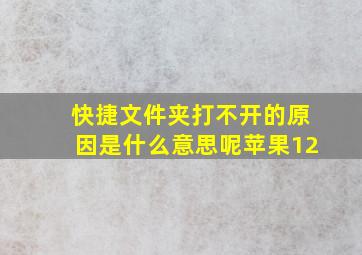 快捷文件夹打不开的原因是什么意思呢苹果12