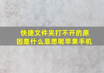 快捷文件夹打不开的原因是什么意思呢苹果手机