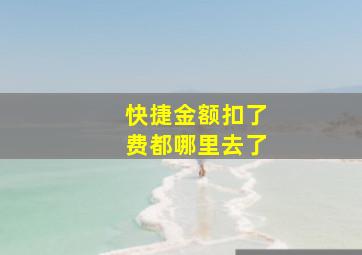 快捷金额扣了费都哪里去了