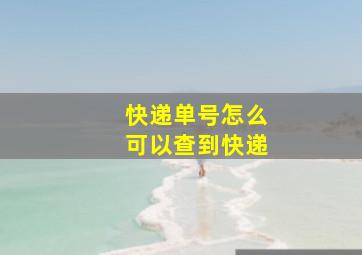 快递单号怎么可以查到快递