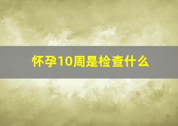 怀孕10周是检查什么