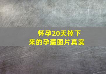 怀孕20天掉下来的孕囊图片真实