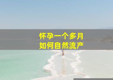 怀孕一个多月如何自然流产