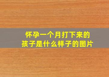 怀孕一个月打下来的孩子是什么样子的图片