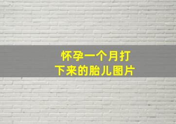 怀孕一个月打下来的胎儿图片