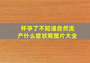 怀孕了不知道自然流产什么症状呢图片大全