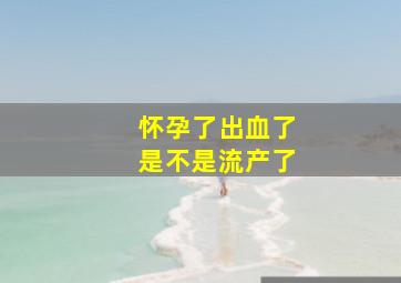 怀孕了出血了是不是流产了