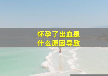 怀孕了出血是什么原因导致