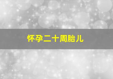 怀孕二十周胎儿