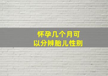 怀孕几个月可以分辨胎儿性别