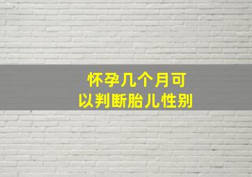 怀孕几个月可以判断胎儿性别