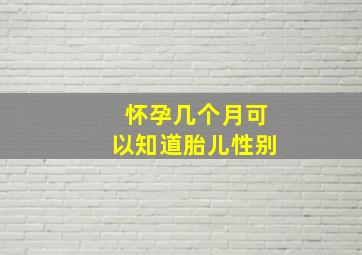 怀孕几个月可以知道胎儿性别