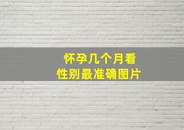 怀孕几个月看性别最准确图片