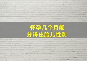 怀孕几个月能分辨出胎儿性别