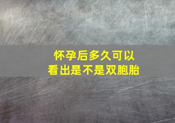 怀孕后多久可以看出是不是双胞胎