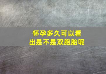 怀孕多久可以看出是不是双胞胎呢