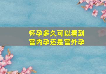 怀孕多久可以看到宫内孕还是宫外孕