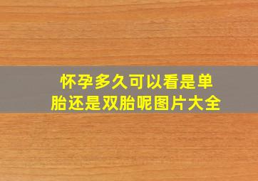 怀孕多久可以看是单胎还是双胎呢图片大全