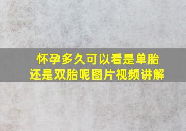 怀孕多久可以看是单胎还是双胎呢图片视频讲解