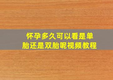 怀孕多久可以看是单胎还是双胎呢视频教程