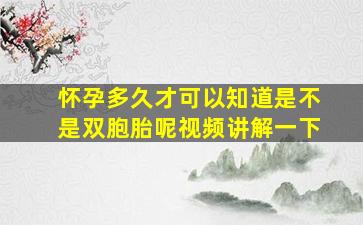 怀孕多久才可以知道是不是双胞胎呢视频讲解一下