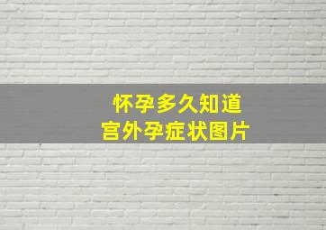 怀孕多久知道宫外孕症状图片