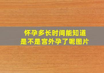 怀孕多长时间能知道是不是宫外孕了呢图片