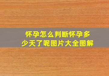 怀孕怎么判断怀孕多少天了呢图片大全图解