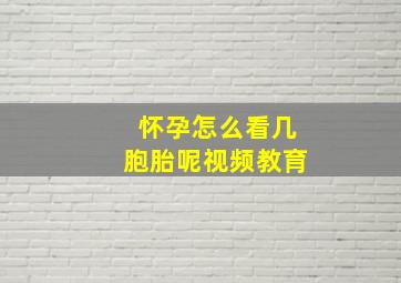 怀孕怎么看几胞胎呢视频教育