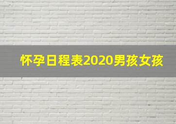 怀孕日程表2020男孩女孩