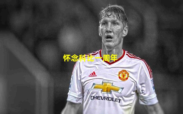 怀念科比一周年