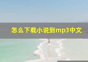 怎么下载小说到mp3中文