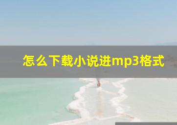 怎么下载小说进mp3格式