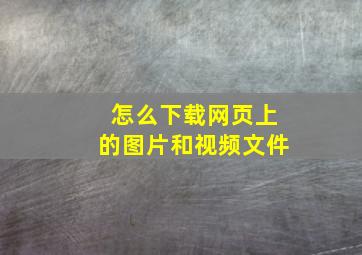 怎么下载网页上的图片和视频文件