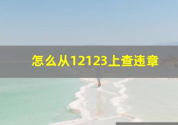 怎么从12123上查违章