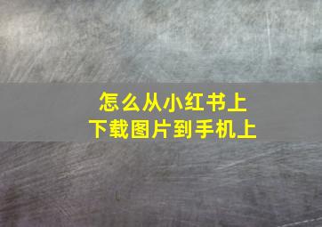 怎么从小红书上下载图片到手机上