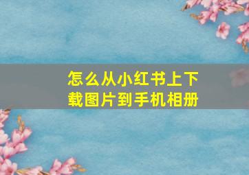 怎么从小红书上下载图片到手机相册