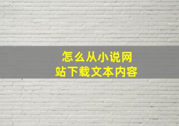 怎么从小说网站下载文本内容