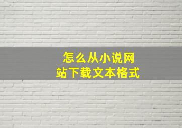 怎么从小说网站下载文本格式