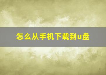 怎么从手机下载到u盘