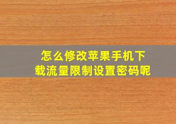 怎么修改苹果手机下载流量限制设置密码呢