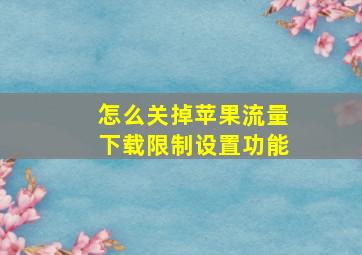 怎么关掉苹果流量下载限制设置功能