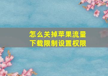 怎么关掉苹果流量下载限制设置权限