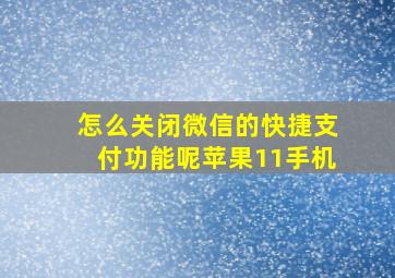 怎么关闭微信的快捷支付功能呢苹果11手机