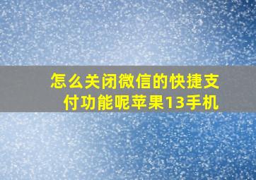 怎么关闭微信的快捷支付功能呢苹果13手机