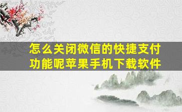 怎么关闭微信的快捷支付功能呢苹果手机下载软件