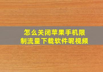 怎么关闭苹果手机限制流量下载软件呢视频